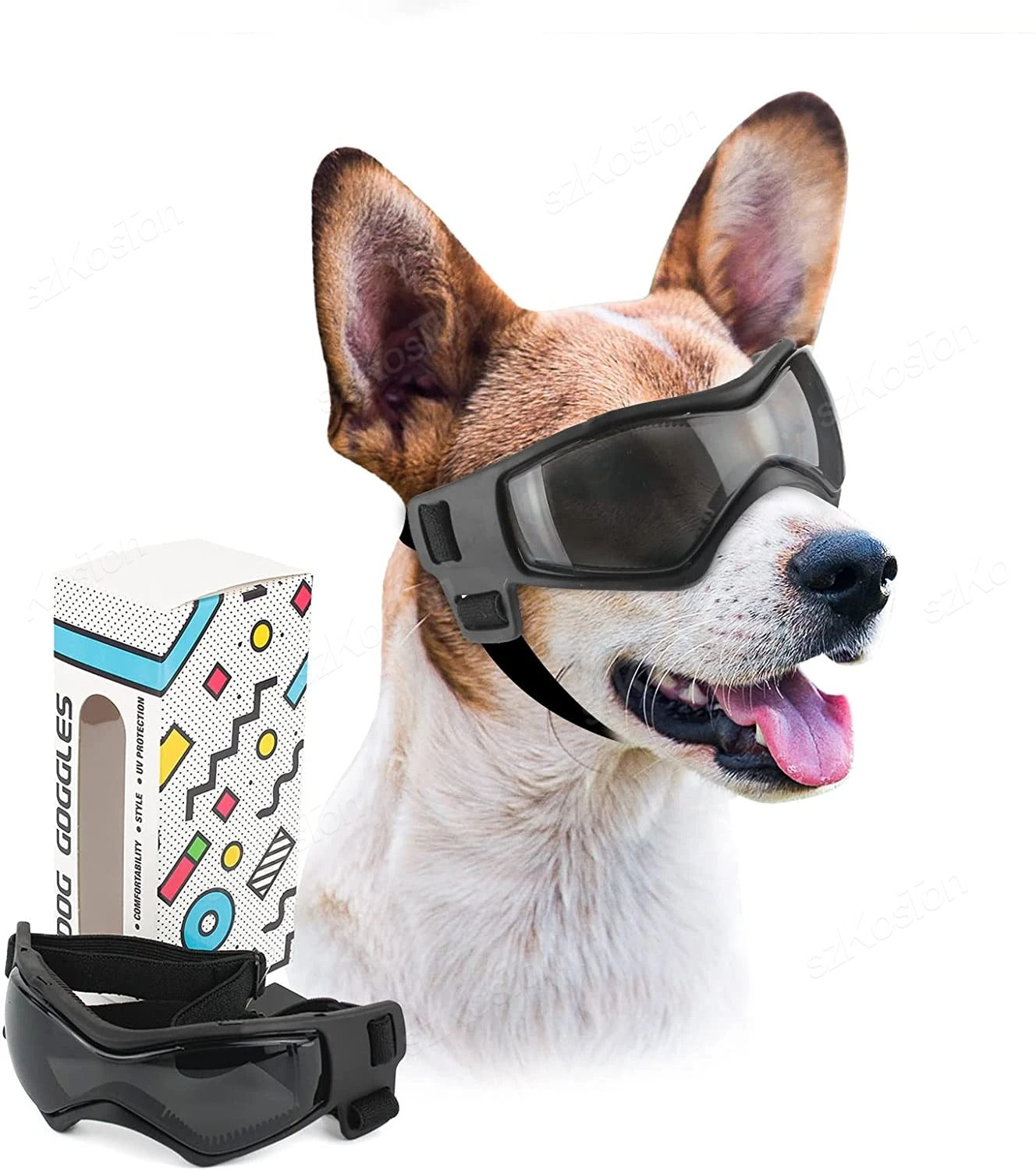 Lunette moto chien