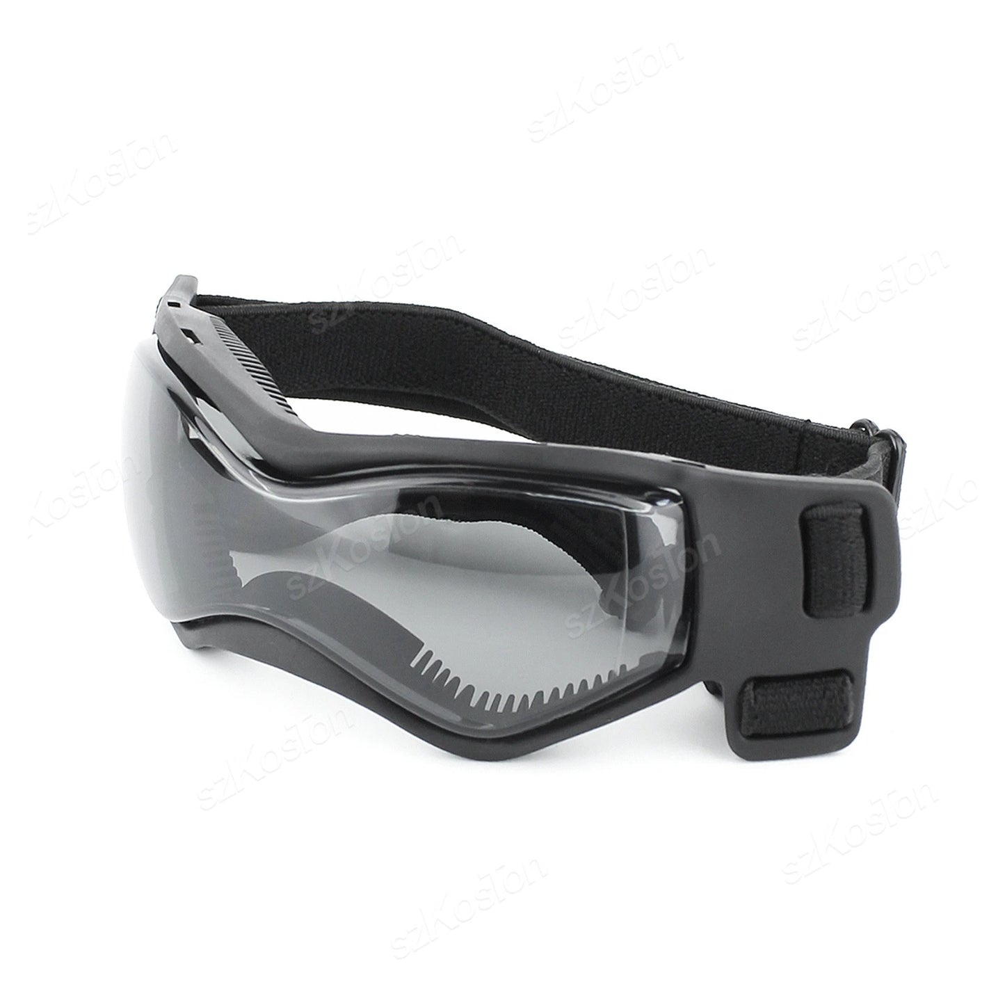 Lunette moto chien