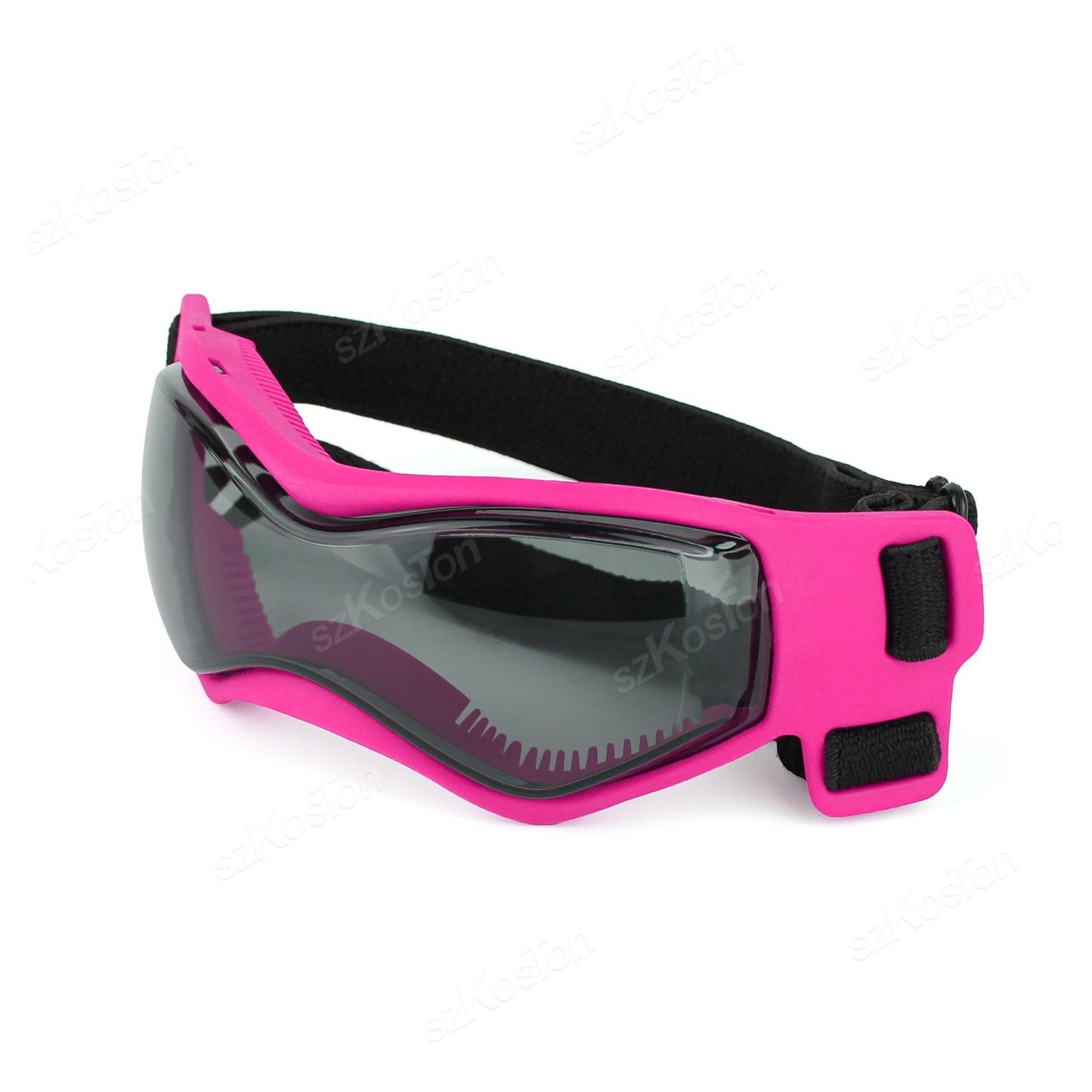 Lunette moto chien