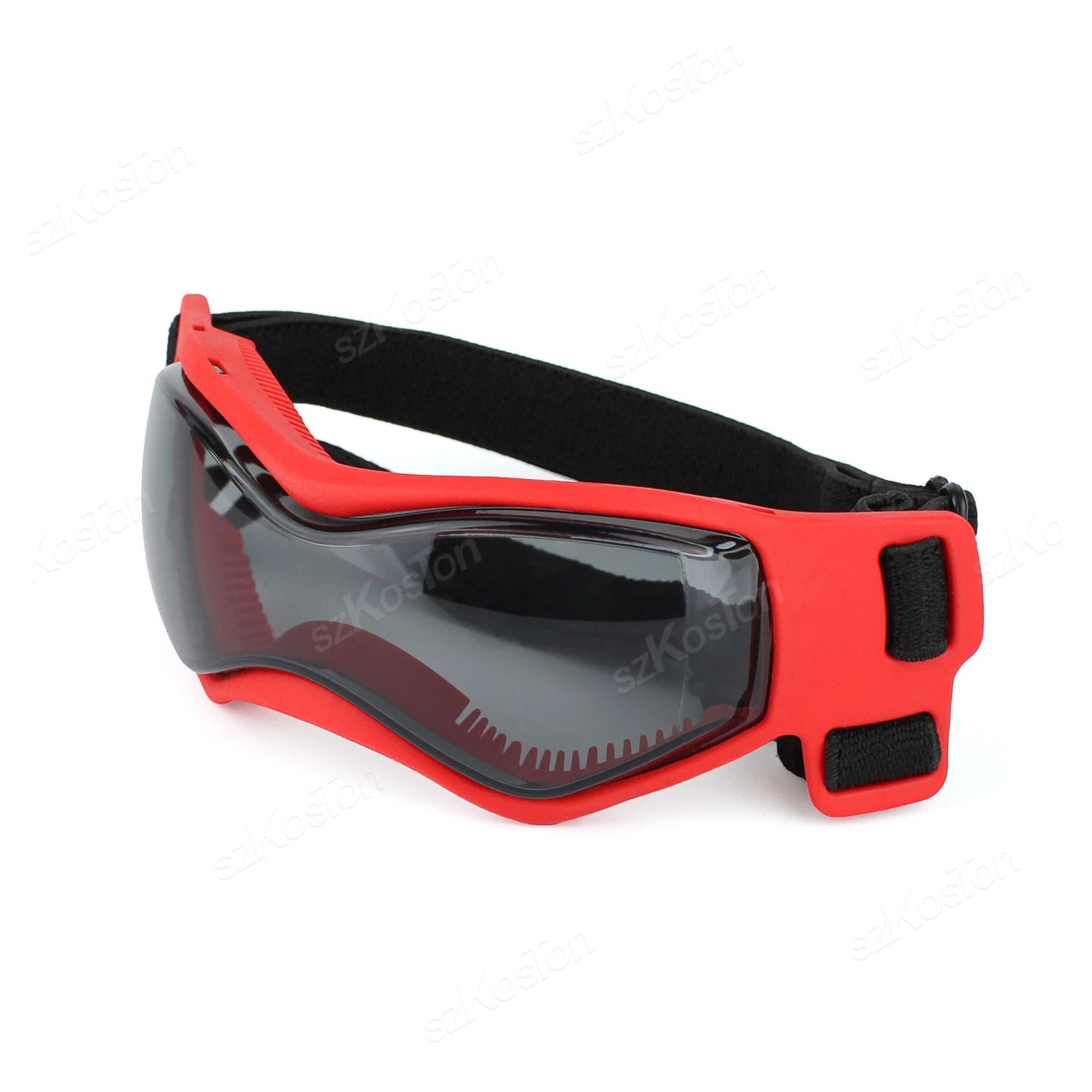 Lunette moto chien